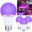UV Purple Light Bulb 385-400nm 9W Plastic Wrapped Aluminum Screw Mouth Halloween Party Ghost House Fluorescent Atmosphere Decoration